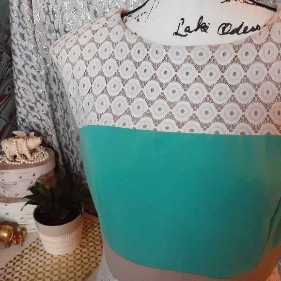 Sandra Darren Color Block w/ Lace Dress - Picture 2 of 4